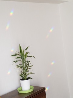 20180524_064616_001.jpg