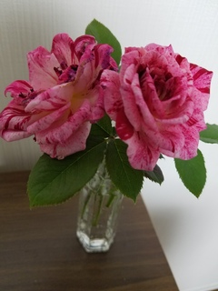 20180528_182852.jpg