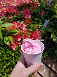 20180430_110740.jpg