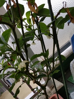 20180502_074450.jpg