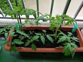 20180507_100708.jpg
