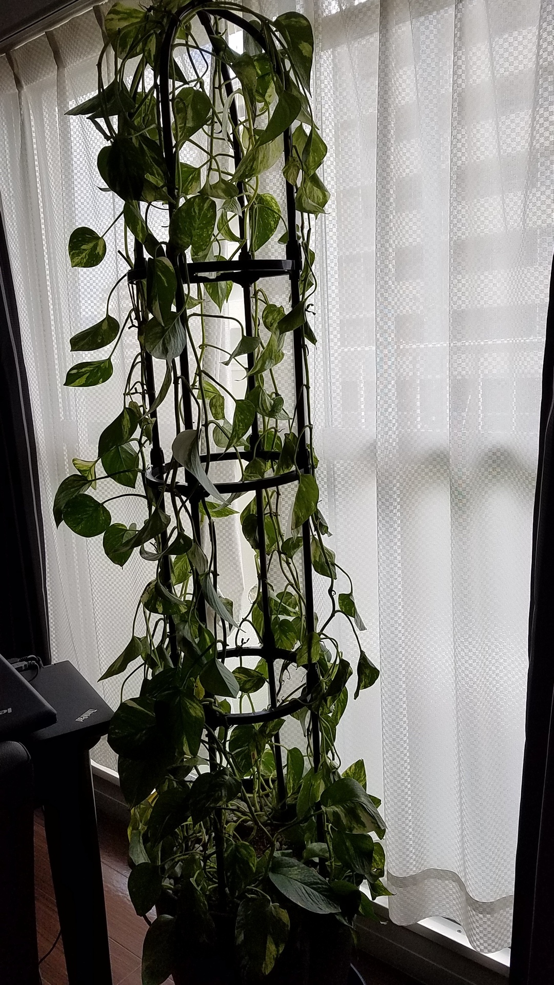 20180927_132948.jpg