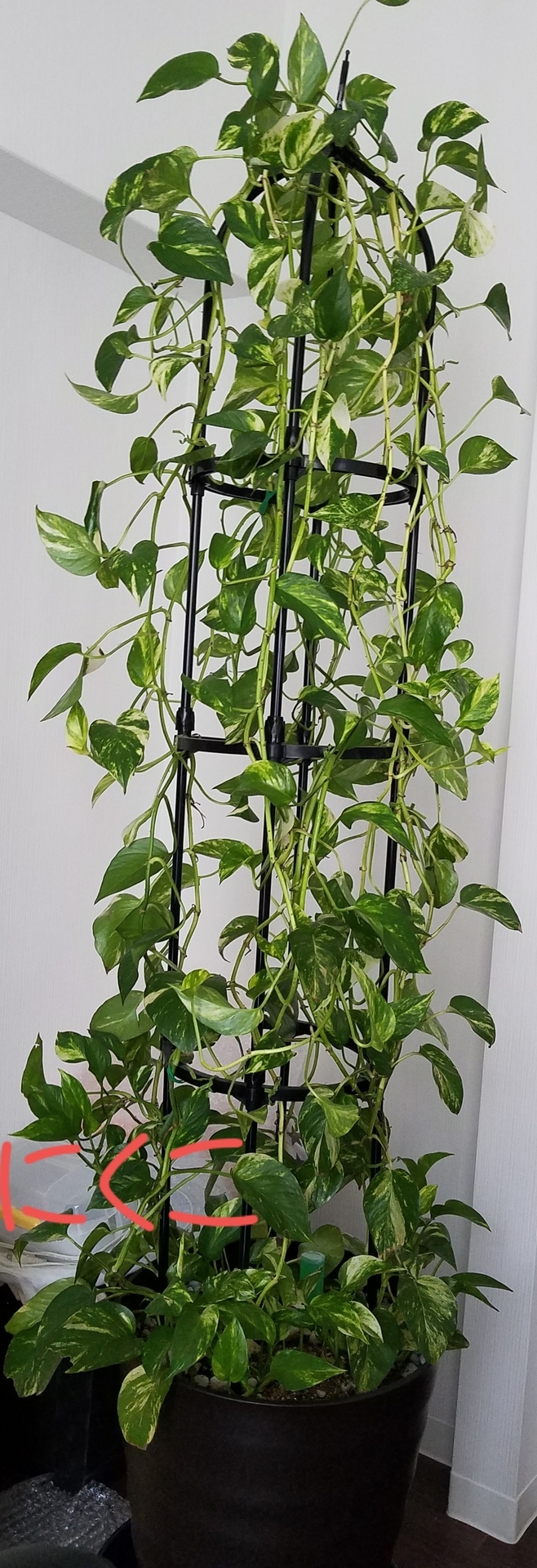 20190620_133855.jpg