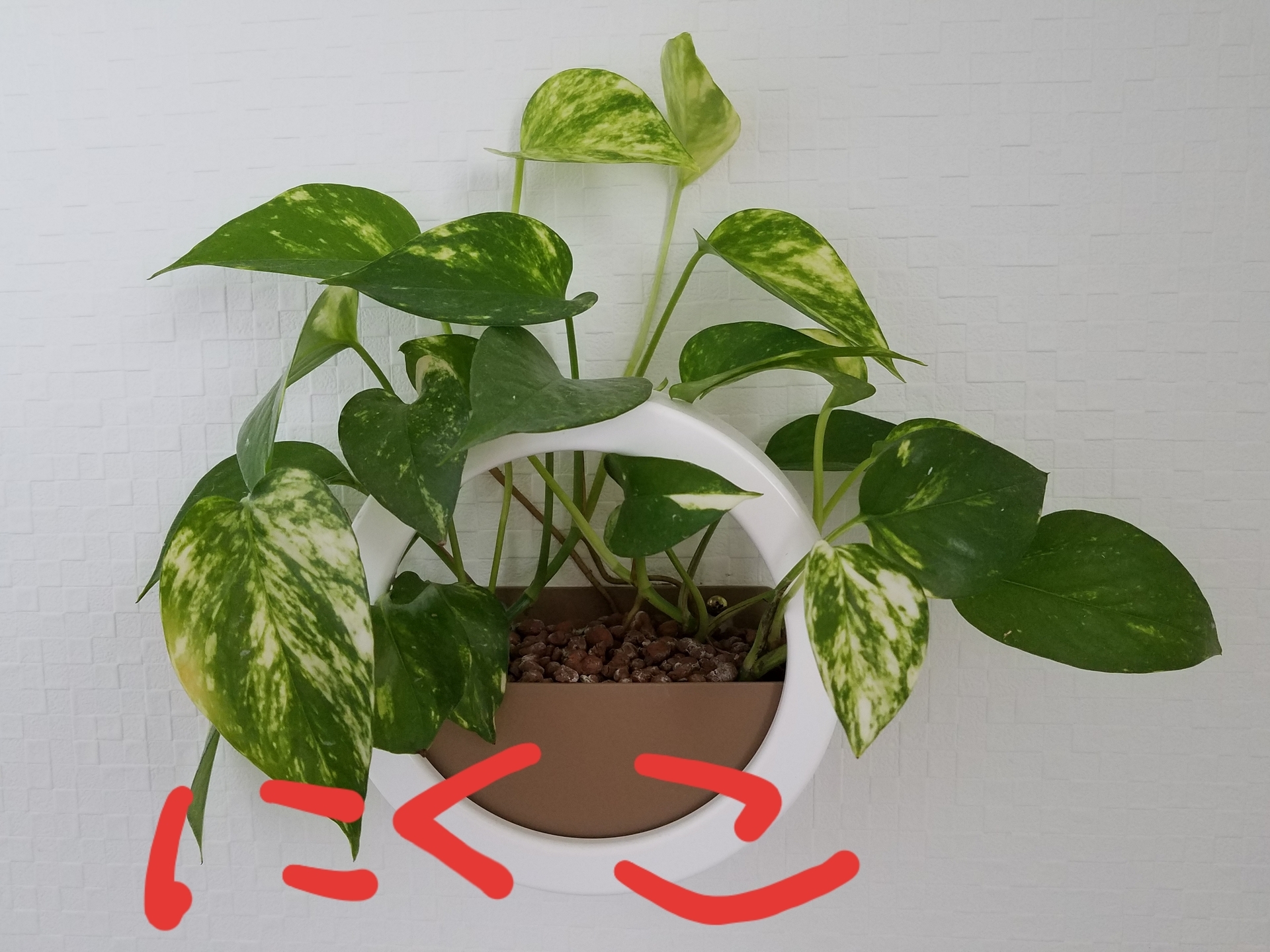 20190730_101716.jpg