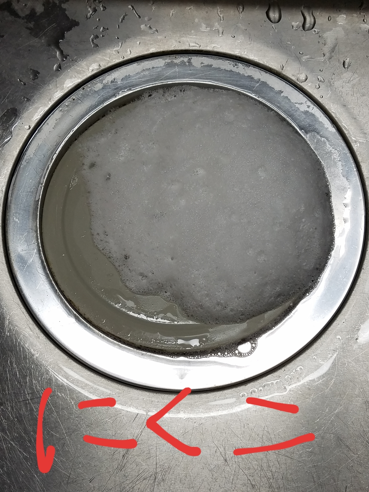 20190923_130859.jpg