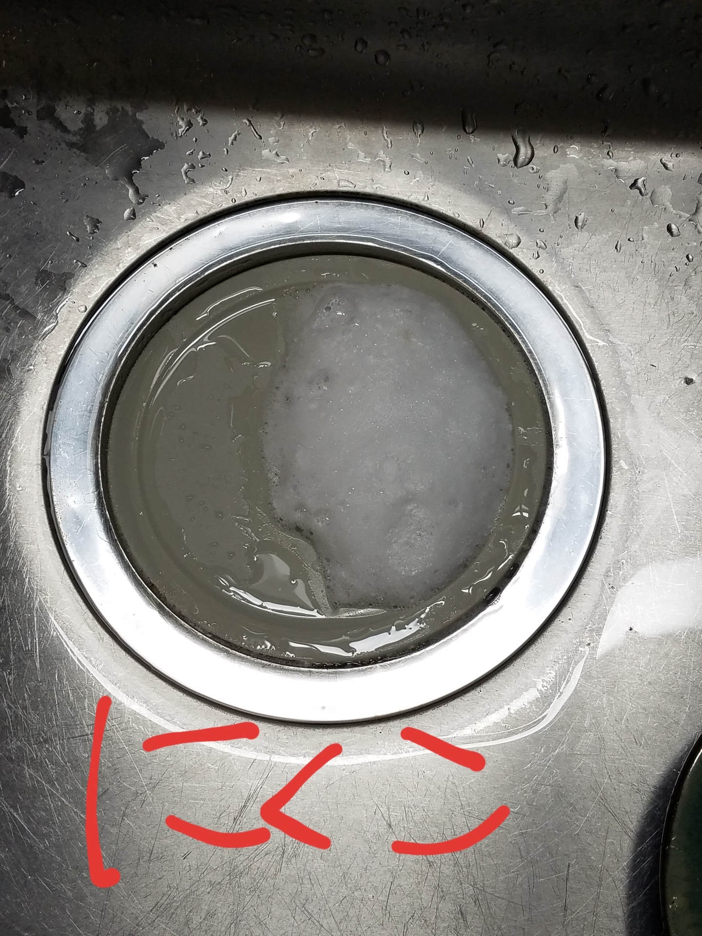 20190923_130928.jpg